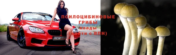 соль ск Магас
