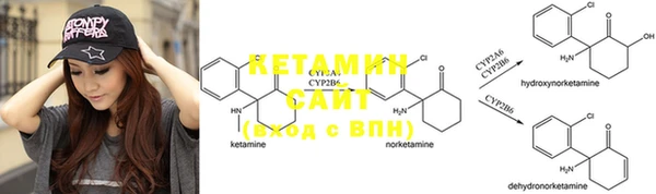 ПСИЛОЦИБИНОВЫЕ ГРИБЫ Вязники